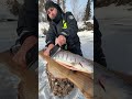 Fishing Fishing Cooking Survival Carpfishing Food