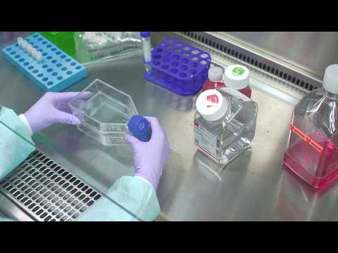 How to Freeze Cells | Cell Culture Training Tutorial
