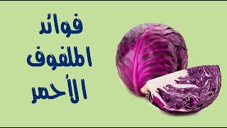 فوائد الملفوف الأحمر : 10 فوائد مذهلة فوائد الملفوف الأحمر : 10 فوائد مذهلة