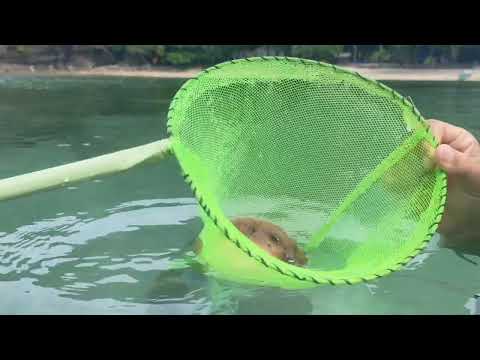 Last Camping for the year 😊 Hanukkah beach 🏖️