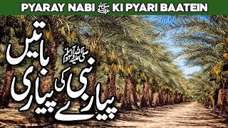 Pyare Nabi ki Pyari Baatein  Hadees in Urdu  Pyare