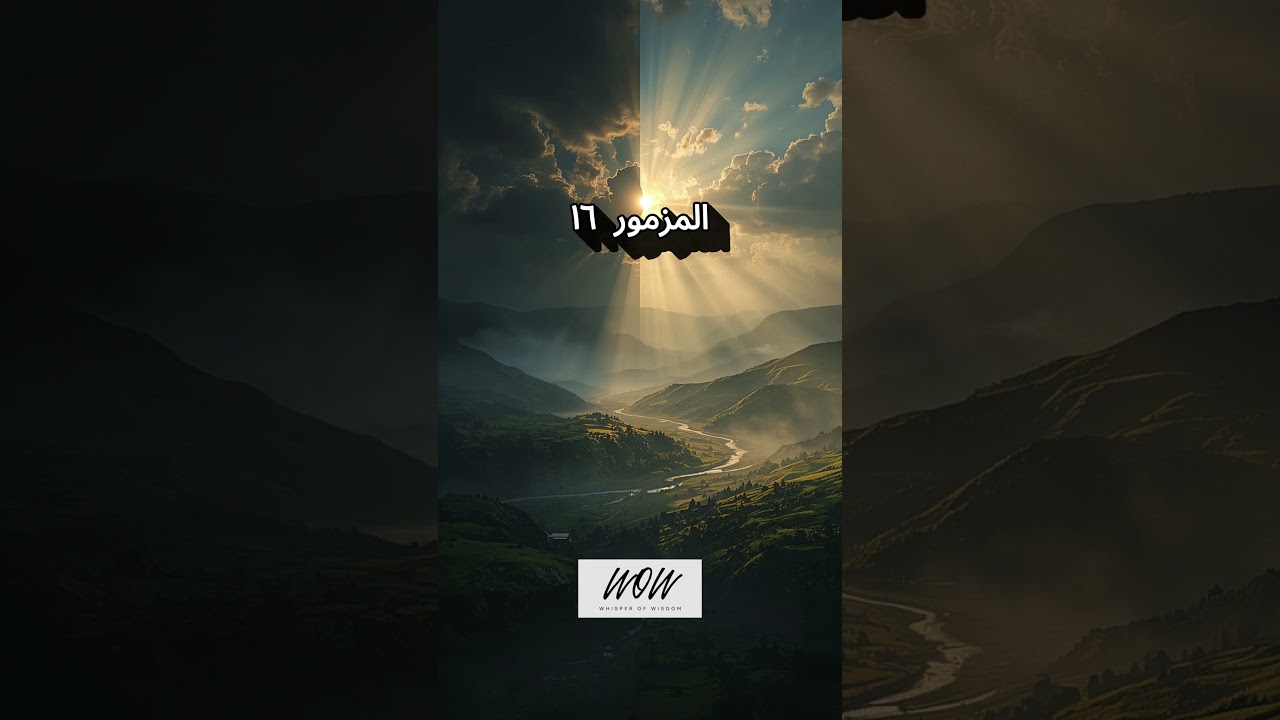 فيديو تفسير الكتاب المقدس | الكتاب المقدس رفيقي