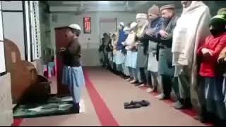 Download lagu Anak Kecil Melafalkan Sholat Tarawih dengan Indah | Bacaan Al-Quran yang Mengharukan mp3 Download lagu Anak Kecil Melafalkan Sholat Tarawih dengan Indah | Bacaan Al-Quran yang Mengharukan mp3