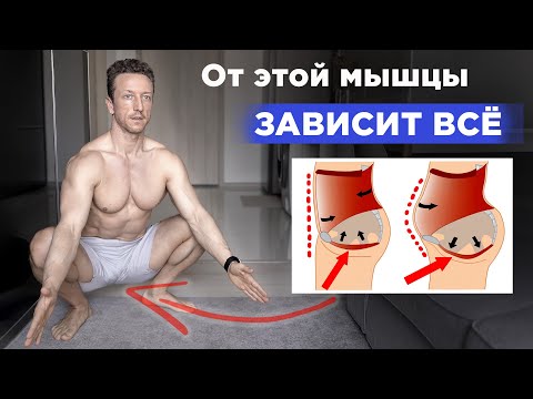 От ЭТОЙ мышцы ЗАВИСИТ ВСË тело! Упражнение КЕГЕЛЯ для ЗДОРОВЬЯ! От ЭТОЙ мышцы ЗАВИСИТ ВСË тело! Упражнение КЕГЕЛЯ для ЗДОРОВЬЯ!