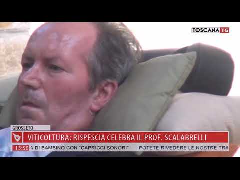 2017-10-27 TG MERIDIANO