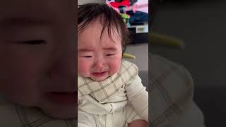 【感謝】ライラックのイントロで泣き止む赤ちゃん #0才 #赤ちゃん #赤ちゃんのいる生活 #イライラしない子育て #baby #生後6ヶ月 #泣き止む #ライラック　#Mrs.GREEN APPLE