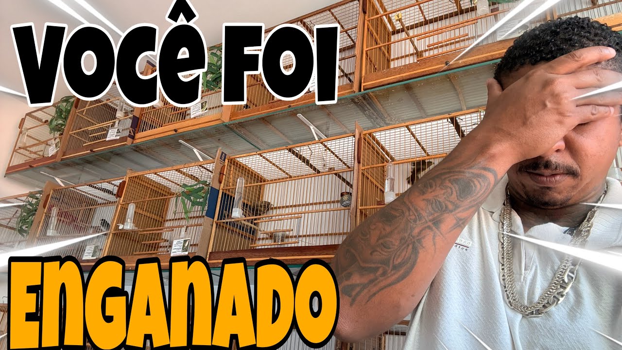 You've been deceived your whole life, and I'm going to prove the whole truth to you in this video...