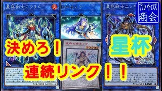 【遊戯王ＡＤＳ】星杯【YGOPRO】World Chalice【アルバトロス商会】