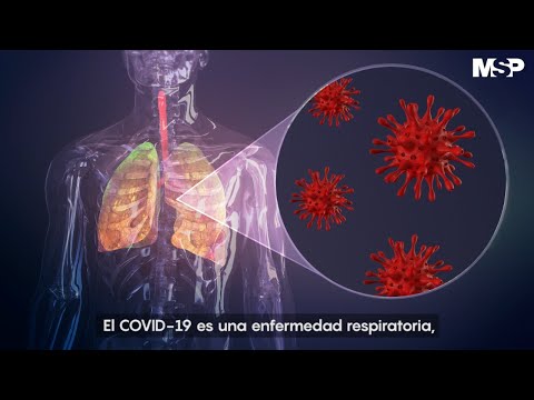 Así Ataca El Coronavirus Al Cuerpo Humano