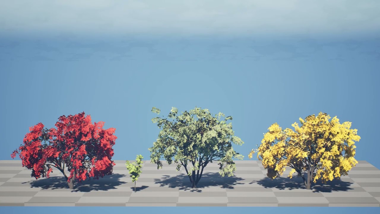 Noord-Amerikaanse Boxelder-esdoorn 3D Model