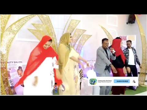 *Dhaanto Cusub | Doolo Gabadha Joogta | Axmed Budul 2020