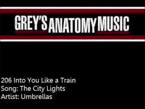 206 Umbrellas - The City Lights