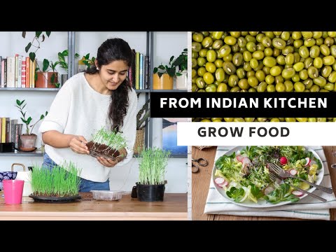 , title : 'Grow Microgreens from Indian Kitchen| Ready to eat in 7days'
