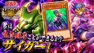 本日のエースカード→幻奏の音女カノン【遊戯王デュエルモンスターズレガシーオブザデュエリスト】