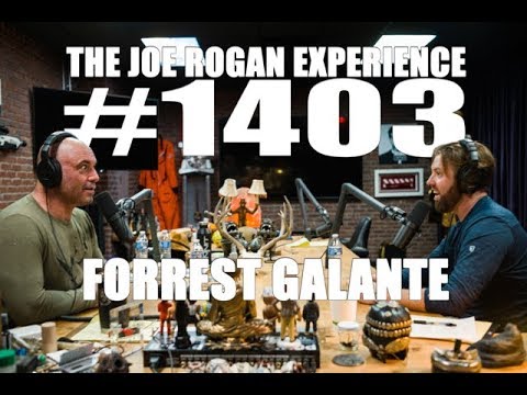 Joe Rogan Experience #1403 - Forrest Galante