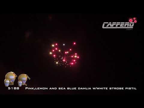 5188 Pink,lemon and sea blue dahlia w white strobe pistil