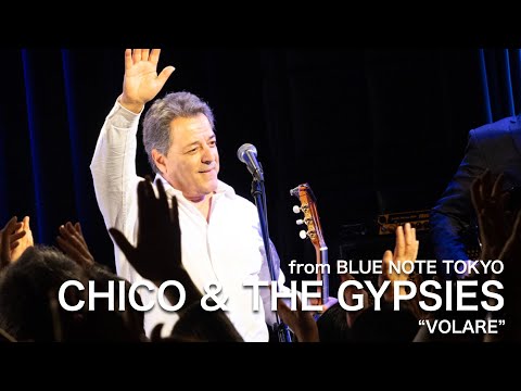 CHICO & THE GYPSIES "VOLARE" / BLUE NOTE TOKYO Live 2025