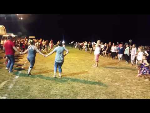 Dan dijaspore 2017 velagiči