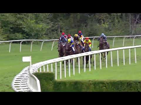 Aarau/08.09.2019/Preis Maler Briner Aarau - C3 Restwertborse - Dr. Martina Glatzl Kuttigen