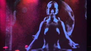 THE TEA PARTY - DRAWING DOWN THE MOON LIVE