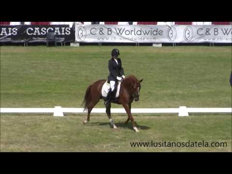 Ídolo d'Atela FIPSL 2017