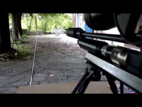 Tiro al bersaglio a 33m seminascosto tra le foglie con Rohm Shooter