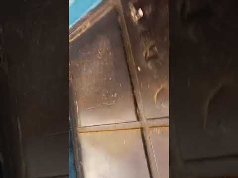 A BIG SHOP @ ISLAMIC AREA