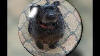 Heaven here on earth