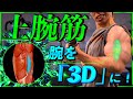 【筋トレ】上腕筋のすべてを置いてきた動画。