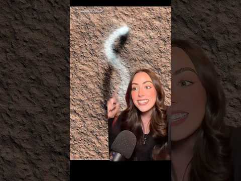 Giant dust devils on the planet Mars! #space #astronomy #science #nasa