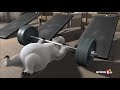 Bernard Bear The Gym Throwbacktvmovies
