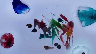 Tarwater -“Trapdoor Spider”