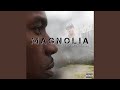 Diary Of A Soulja