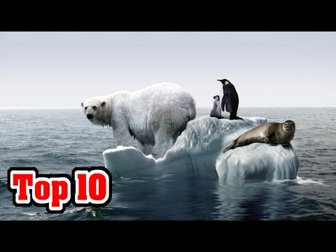 Top 10 Signs That GLOBAL WARMING Is NO LONGER A Debate