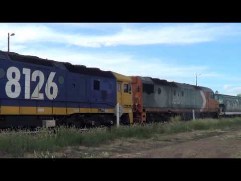 8126+DL44=WERRIS CREEK