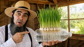 I Grow Garlic in Plastic Bottles—No Soil Needed! Fast Roots, Huge Harvests