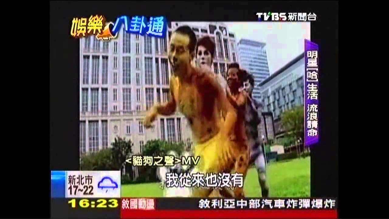 休假顧流浪貓狗 主持群「浩子」準備結紮