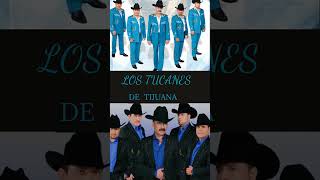 LOS  TUCANES  DE  TIJUANA  te perdi para siempre