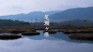 Gunma Oze Marshland video preview