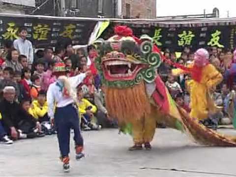 汕尾草南汾莊金獅排獅及功夫表演