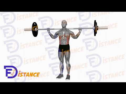 Exercice Torsion debout avec barre