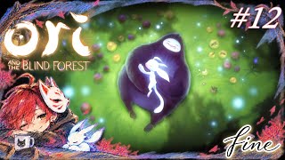 【オリとくらやみの森】12守りたいもの【初見実況】