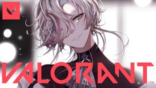 【VALO】VALOのランクまわす！！【#vtuber / #羽継烏有 / #ホロスターズ 】