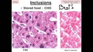 Cytology data show 2016 part 2 with trial exam and answers