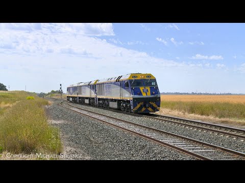 D442V SSR Light Engines EL55 + EL62 + EL56 (26/12/2022) - PoathTV Australian Trains & Railways