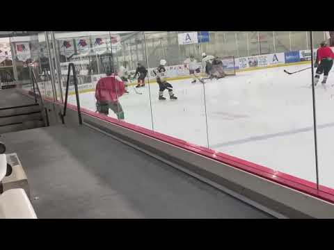 Bruno Bourgoin hockey