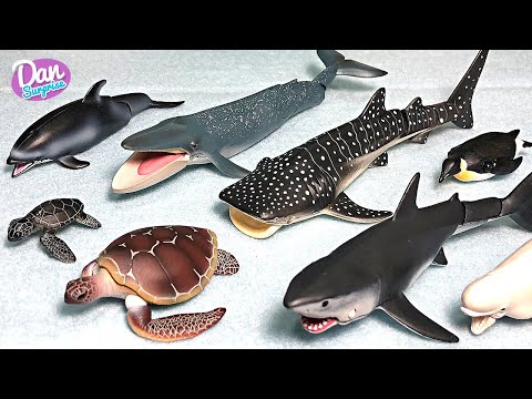 Takara Tomy Sea Animals Collection - Whale, Dolphin, Turtle, Shark, Beluga