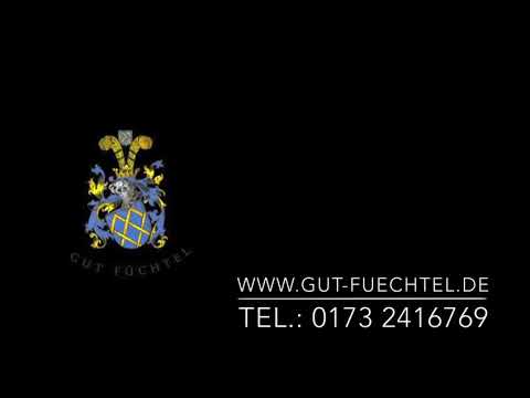 Jungspund: 3-jähriger Wallach von Floriscount - Detroit