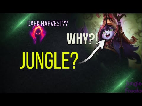 I Destroyed Ekko With FULL AP LULU Jungle