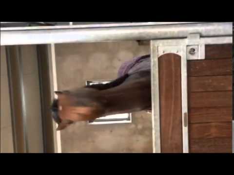 Sir Lando xx er fullstendig enig